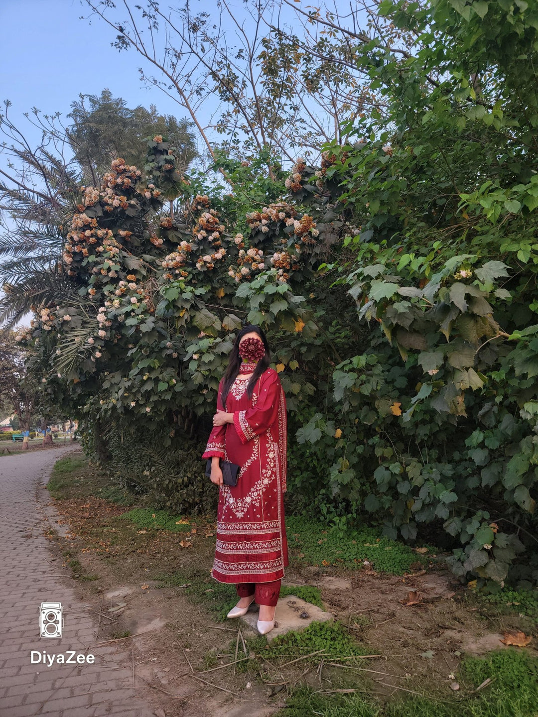 Maroon Embroidered Cotton Suit